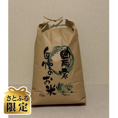 ふるさと納税 池田町 [さとふる限定]長野県安曇野産コシヒカリ精米 10kg