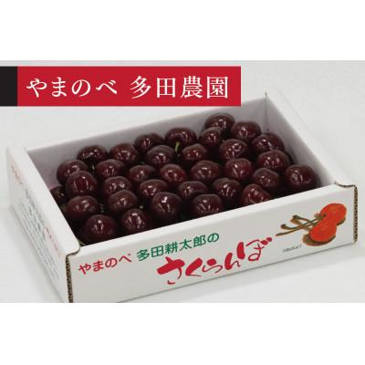 ふるさと納税 中山町 [2026年 先行受付][サミット]バラ詰 700g