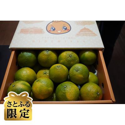 ふるさと納税 宇城市 [さとふる限定]スイートスプリング約4kg 宇城市産