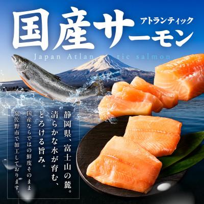 ふるさと納税 泉佐野市 国産アトランティックサーモン 500g ポーション 小分け 真空パック nbj0010_1
