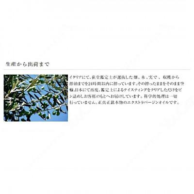 ふるさと納税 大津町 赤水油・有機オリーブオイル詰合せ(2本セット)(赤水油 600g、オリーブオイル 250g)_2