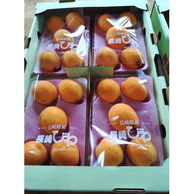 ふるさと納税 平戸市 [先行受付]根獅子 びわ 250g(5〜6個)×4P