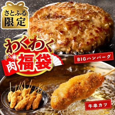 ふるさと納税 泉佐野市 [さとふる限定]わくわく肉福袋(BIGハンバーグ&amp;牛串カツ)CFX0084