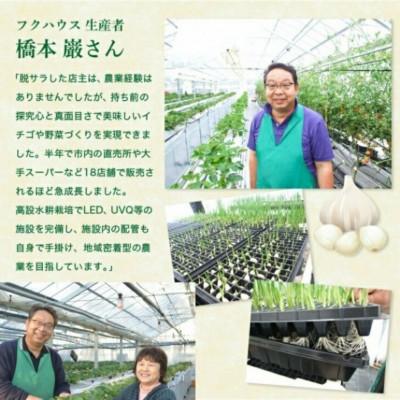 ふるさと納税 いわき市 フクハウスにんにく調味料6種各1個セット_2