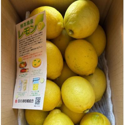 ふるさと納税 芦北町 熊本県芦北町 貯蔵レモン約3kg B363-13