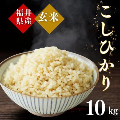 ふるさと納税 小浜市 令和7年産 福井県産こしひかり玄米10kg