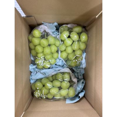 ふるさと納税 日野市 シャインマスカット約2kg箱詰め