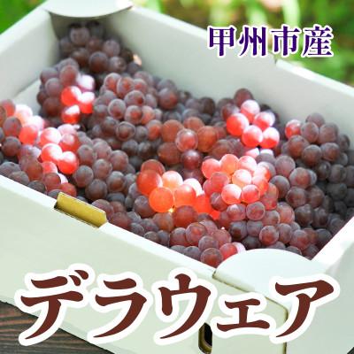 ふるさと納税 甲州市 山梨県産デラウェア 種無しぶどう 11〜13房(約2kg)