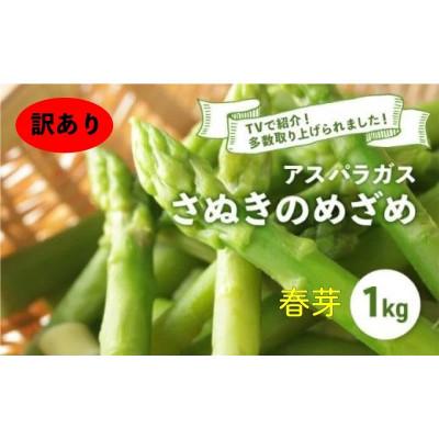 ふるさと納税 丸亀市 [訳あり] 先行受付 アスパラガス さぬきのめざめ 春芽 1kg 発送:3月上旬〜