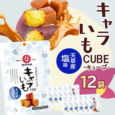 ふるさと納税 菊陽町 キャラいもキューブ 塩 40g×12袋(菊陽町)