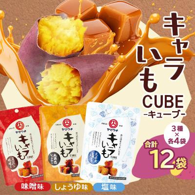 ふるさと納税 菊陽町 [山内本店]キャラいもキューブ アソート12袋セット計480g(味噌・しょうゆ・塩 各4袋)(菊陽町