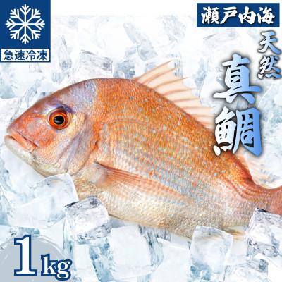 ふるさと納税 竹原市 瀬戸内 天然真鯛 丸ごと姿(うろこ・内臓除去済) 2〜3匹入り 合計1kg