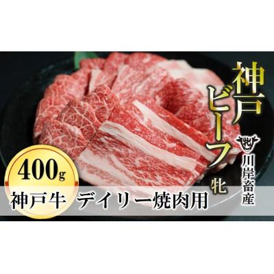 ふるさと納税 西脇市 [神戸牛 牝]日常使いにおすすめ!神戸ビーフ 焼肉用 400g