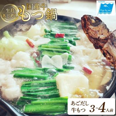 ふるさと納税 平戸市 生月あごだし 国産牛もつ鍋セット(3〜4人前)