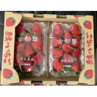 ふるさと納税 天理市 内浦いちご農園 古都華 270g×2パック