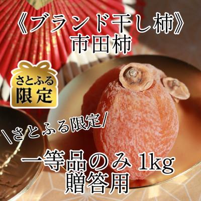 ふるさと納税 飯田市 [さとふる限定]贈答用[ブランド干し柿]市田柿 計1kg化粧箱