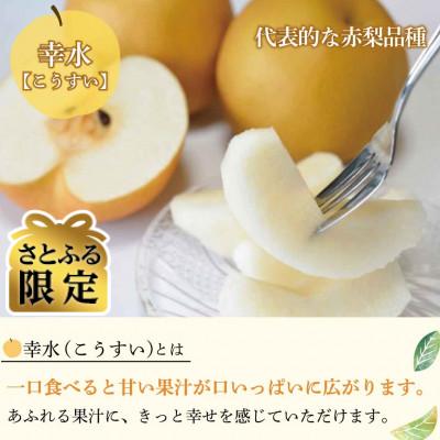 ふるさと納税 長野県 [さとふる限定]幸水梨 良品7〜11個(計3kg以上)長野県須坂市産