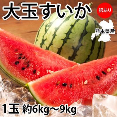 ふるさと納税 熊本市 訳あり大玉すいか 1玉(約6kg〜9kg)[2026年5月下旬〜8月中旬発送予定](熊本市)