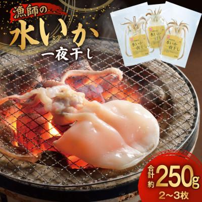 ふるさと納税 平戸市 漁師の水烏賊一夜干し 2〜3枚 約250g 中野漁業協同組合