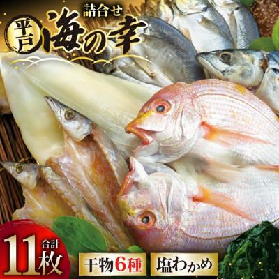 ふるさと納税 平戸市 干物 豪華6種詰合せ &amp; 天然塩わかめセット 計11枚 食べ比べ 一山水産
