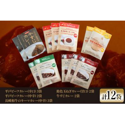 ふるさと納税 平戸市 カレー 5種12食  アソートセット [カレー工房NVfoods]の画像
