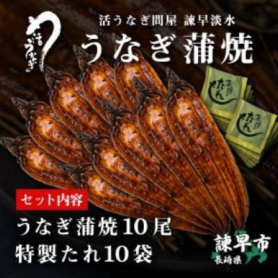 ふるさと納税 諫早市 【諫早淡水】ウナギ蒲焼10尾 大大きさ(1尾180g前後)