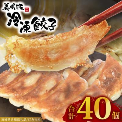 ふるさと納税 大洗町 「美明豚」冷凍餃子 40個(20個×2袋)(茨城県共通返礼品・行方市産)