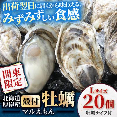ふるさと納税 厚岸町 関東限定企画!北海道厚岸町から出荷翌日にお届け!『マルえもん』Lサイズ20個入り[さとふる限定]