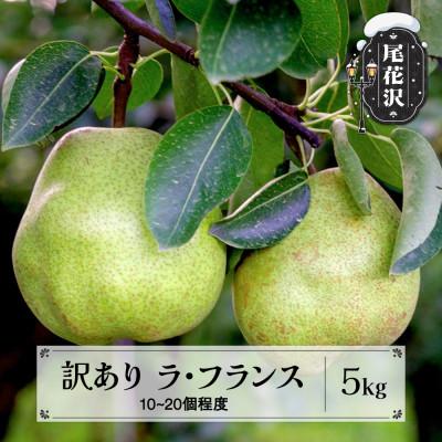 ふるさと納税 尾花沢市 先行予約 訳あり ラ・フランス 約5kg 無印品 2026年産 令和8年産 sb-laxxw5