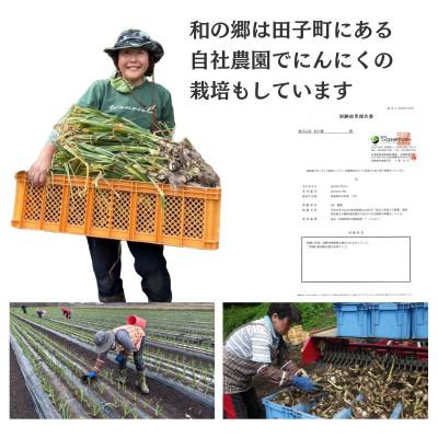 ふるさと納税 田子町 濃厚な味わいの田子町ブランド!たっこにんにくMサイズ10玉(青森県田子町産にんにく)_3