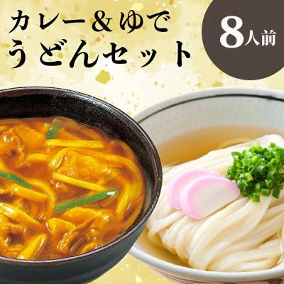 ふるさと納税 丸亀市 さぬきうどん&amp;カレーうどん 8人前 詰合せセット ダシ・スープ付き