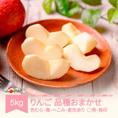 ふるさと納税 村山市 [先行予約]りんご 品種おまかせ 5kg 訳あり(色むら・傷・へこみ・変形) 2026年産