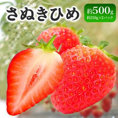 ふるさと納税 丸亀市 いちご さぬきひめ 約500g (約250g×2パック) 冷蔵 発送:1月下旬〜