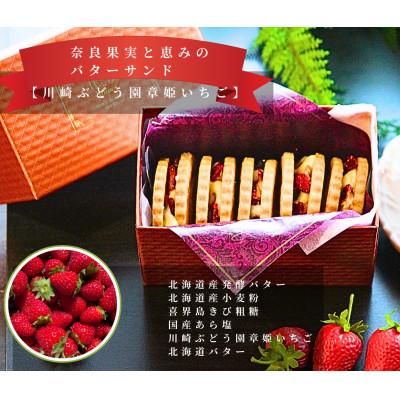 ふるさと納税 橿原市 奈良果実と恵みのバターサンド 計250g 5個入 章姫いちご