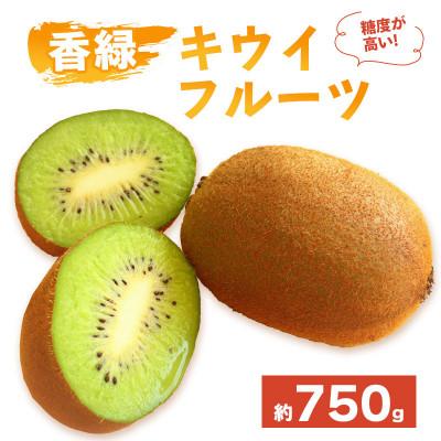 ふるさと納税 丸亀市 キウイフルーツ 香緑 約750g 常温 香川県 丸亀市