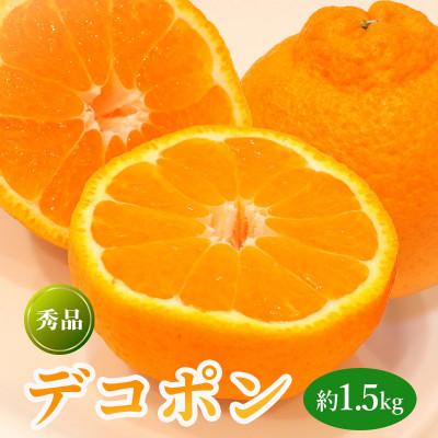 ふるさと納税 丸亀市 デコポン 約1.5kg 常温 香川県 丸亀市 フルーツ 発送:3月上旬〜