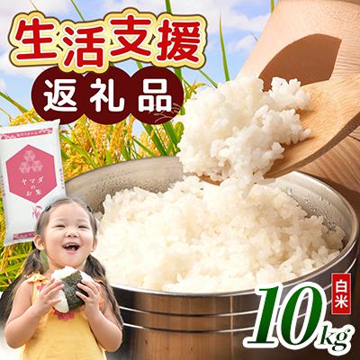 ふるさと納税 愛荘町 [令和7年産含む] 近江ブレンド米 10kg 愛荘町産 白米