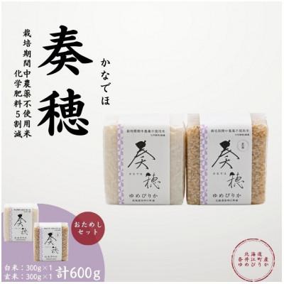 ふるさと納税 奈井江町 北海道奈井江産ゆめぴりか『奏穂』 玄米&amp;白米 計600g 栽培期間中農薬不使用米(化学肥料5割減)