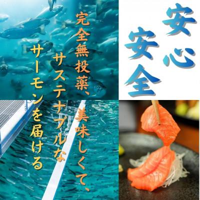 ふるさと納税 西桂町 ご飯のお供にピッタリ!!富士山麓育ち 富士頂純サーモン 焼きほぐし瓶詰め　1瓶100g×20本セット_3