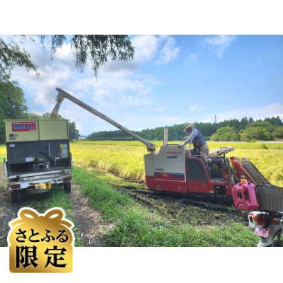 ふるさと納税 かすみがうら市 [さとふる限定]こしひかり 白米 5kg 茨城県産