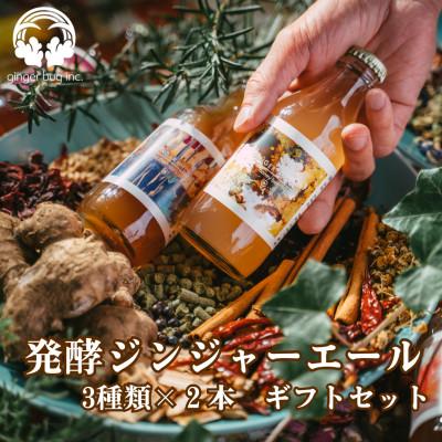 ふるさと納税 さいたま市 発酵ジンジャーエール 3種×2本ギフトセット