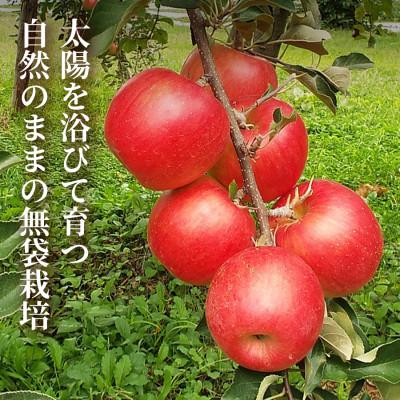 ふるさと納税 青森市 【栽培期間中農薬を減らしたりんごを丸ごと使用】リンゴジュース(1L×2本)3セット 青森産 限定生産の画像
