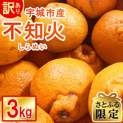 ふるさと納税 宇城市 [さとふる限定]不知火 訳あり 約3kg[先行予約 2026年1月下旬〜] 規格外 サイズ不選別