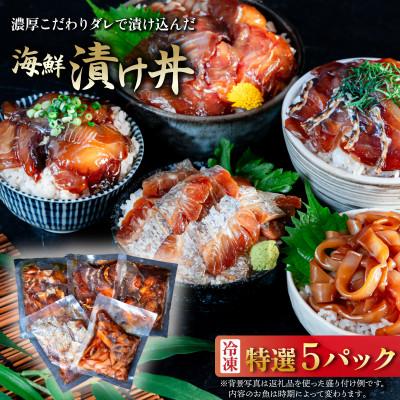 ふるさと納税 下妻市 海鮮漬け丼5種セット 100g入り×5パック