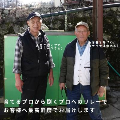 ふるさと納税 茅野市 冷凍 八ヶ岳信州サーモン 150g×5パックの画像