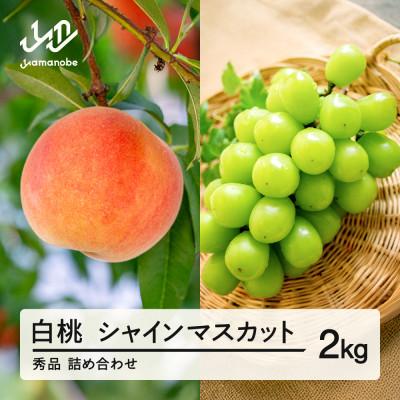 ふるさと納税 山辺町 [先行受付] 白桃 シャインマスカット 秀品 詰め合わせ 2kg 令和8年産 ns-fshsx2