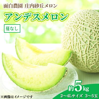 ふるさと納税 メロン 鶴岡市 [令和8年産先行予約]庄内砂丘メロン 2L〜4Lサイズ 約5kg (3〜5玉)つるなしアンデスメロン