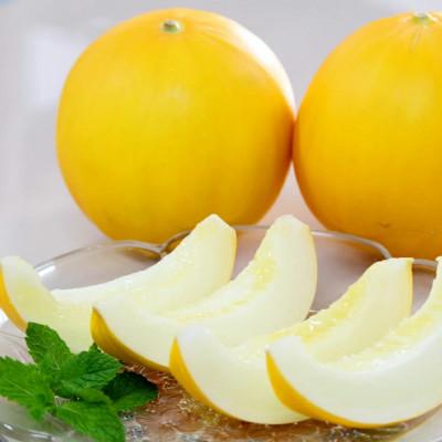 ふるさと納税 平戸市 平戸産メロン『イエローキング』約5kg(3〜6玉)