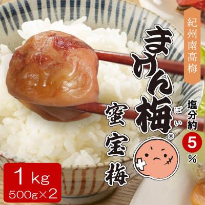 ふるさと納税 みなべ町 まけん梅(R) はちみつ漬 蜜宝梅 1kg(500g×2) 塩分約5% 紀州南高梅 ご家庭用 梅干し