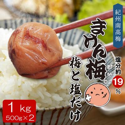 ふるさと納税 みなべ町 まけん梅 梅と塩だけ 1kg(500g×2) 塩分約19% 紀州南高梅 梅干し ご家庭用